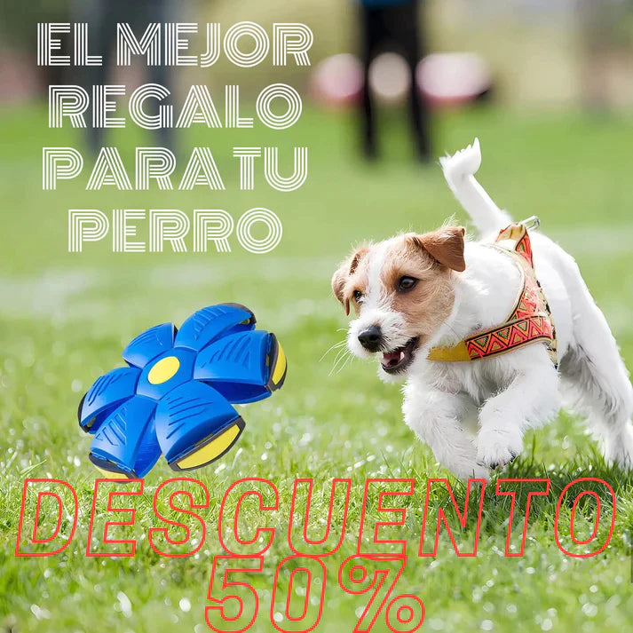 Pelota Voladora Juguete para Perro FlyBall™